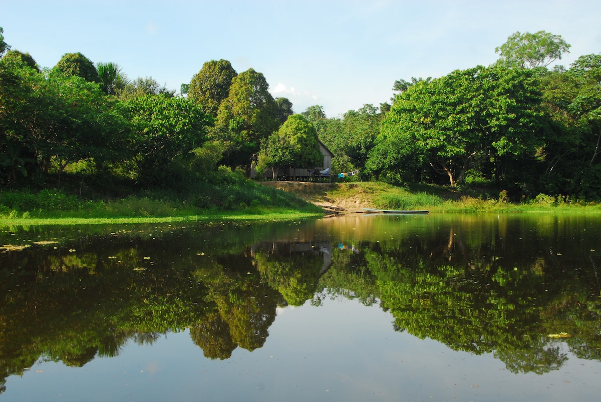 Governo do Acre e Serviço Florestal Brasileiro tratam de meio ambiente e agronegócio