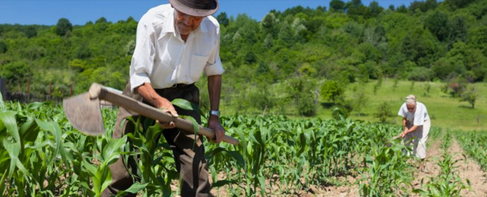 Seminário organizado pelo Estado discutirá políticas públicas para o agronegócio