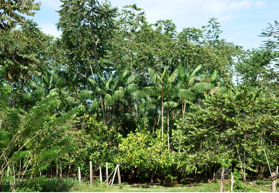 Programa de Regularização Ambiental é tema de seminário no Mês do Meio Ambiente