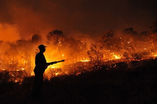 Capacitação para uso da Plataforma MAP-Fire é realizada na programação do Mês do Meio Ambiente