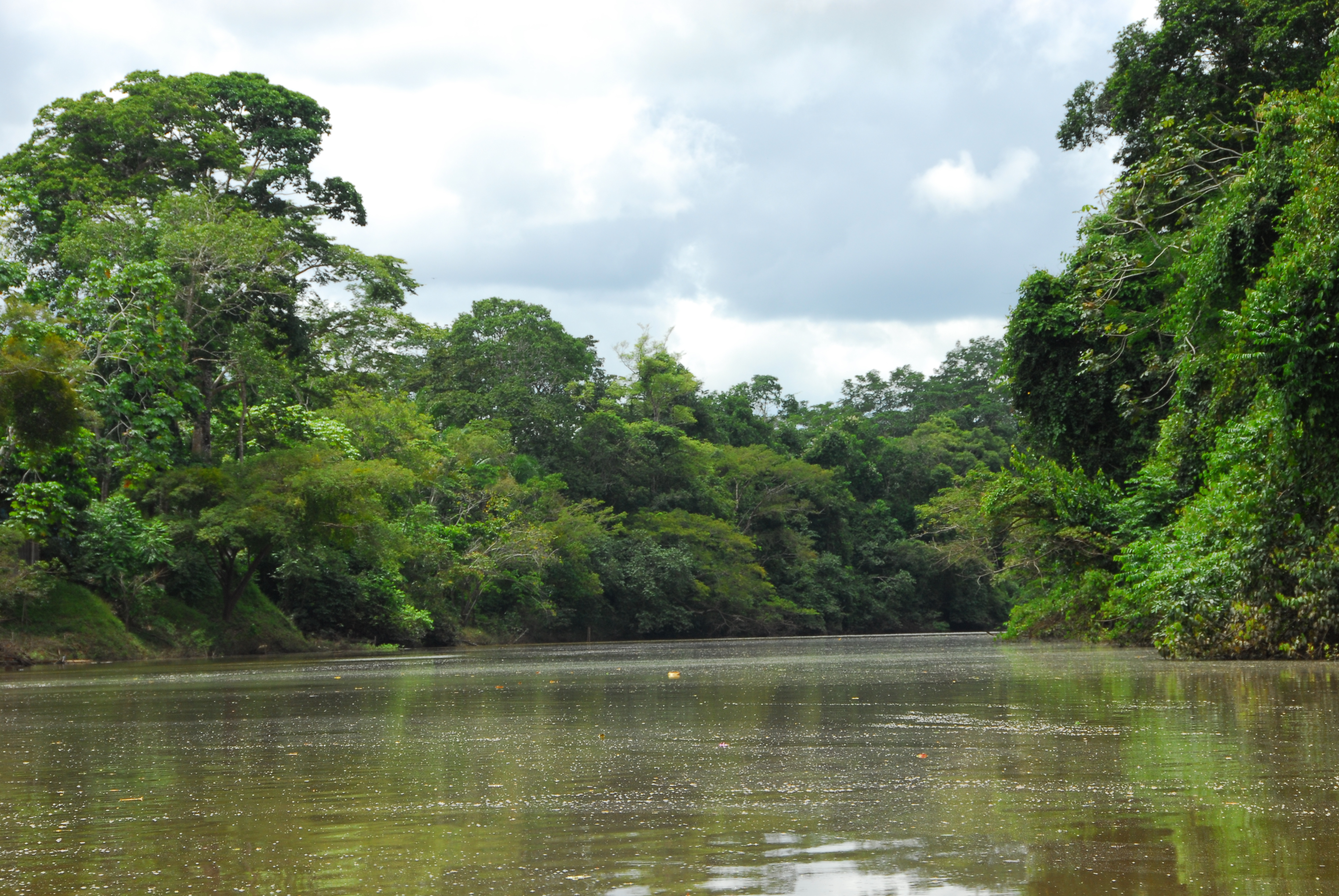 Reunião virtual do Conselho da APA Lago do Amapá debate plano de gestão