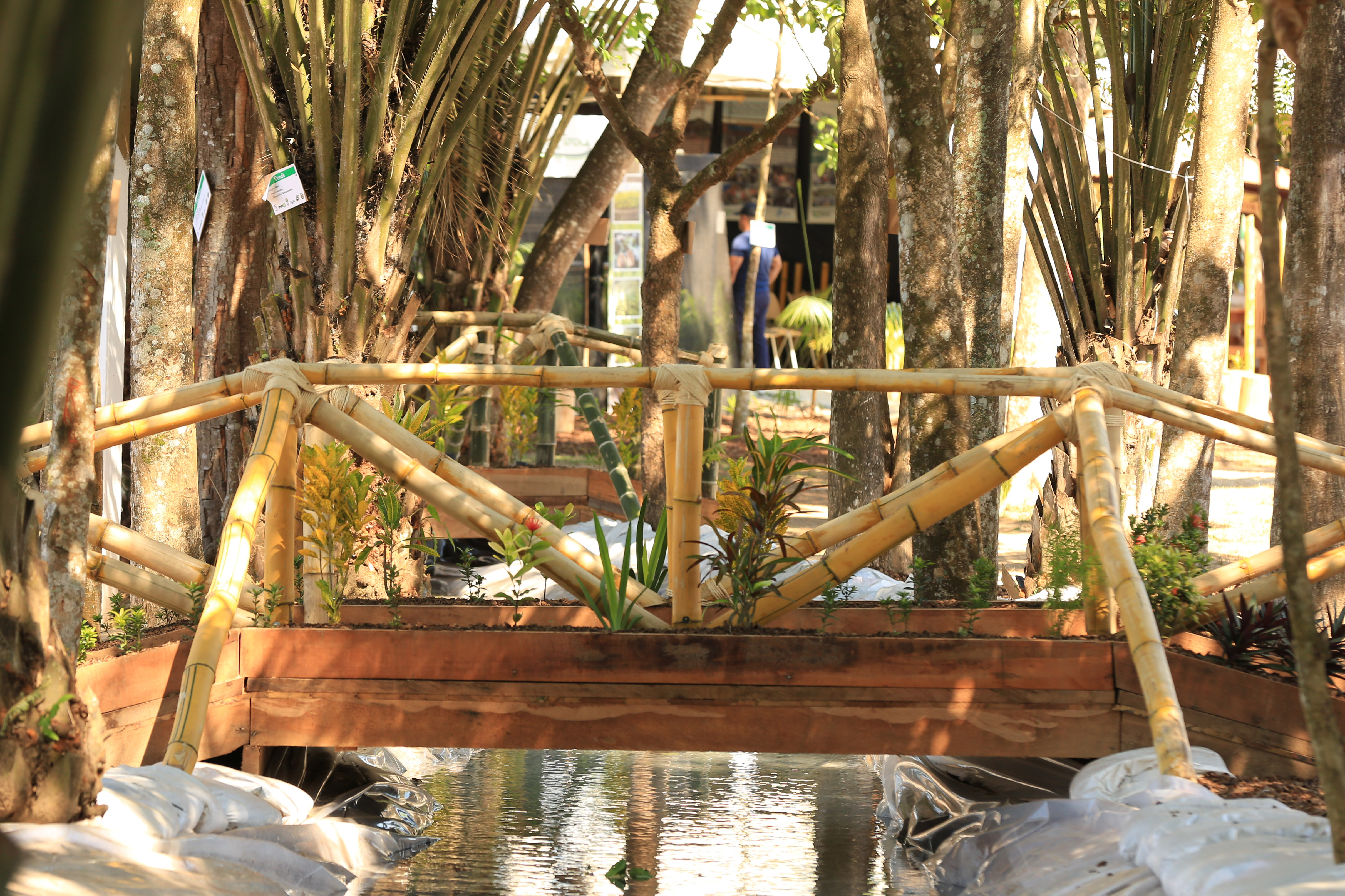 Potencialidades e produção de bambu são temas de oficinas na Expoacre