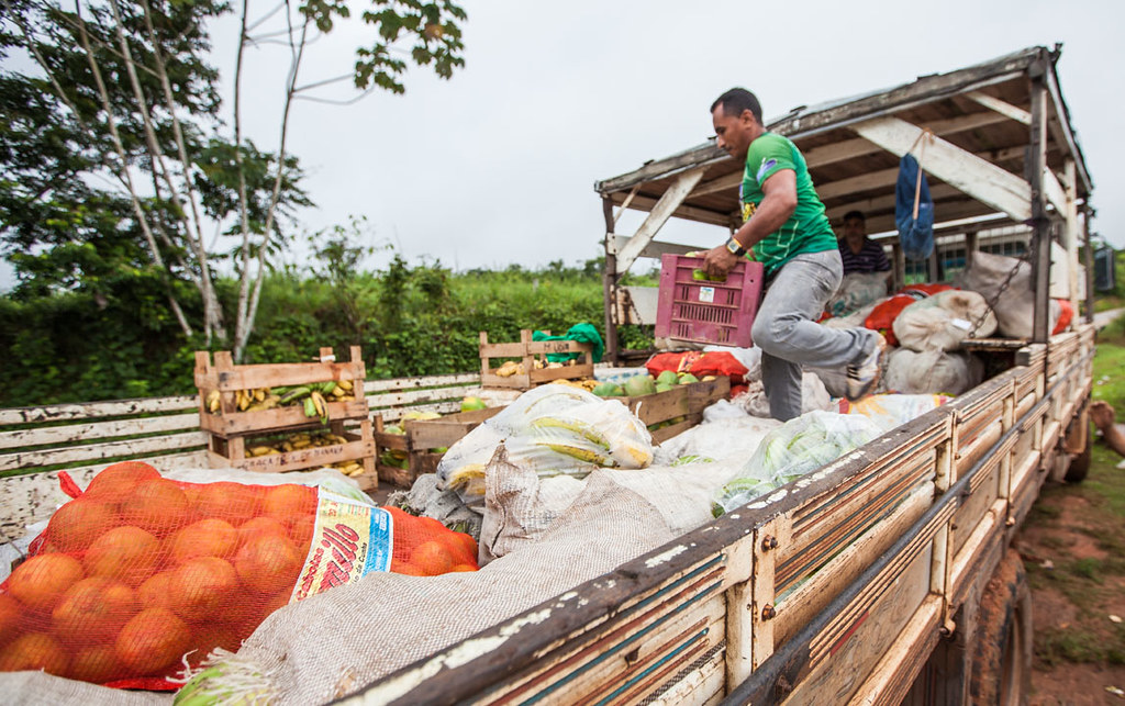 No Dia da Amazônia, Emater realiza programação especial com agricultores familiares