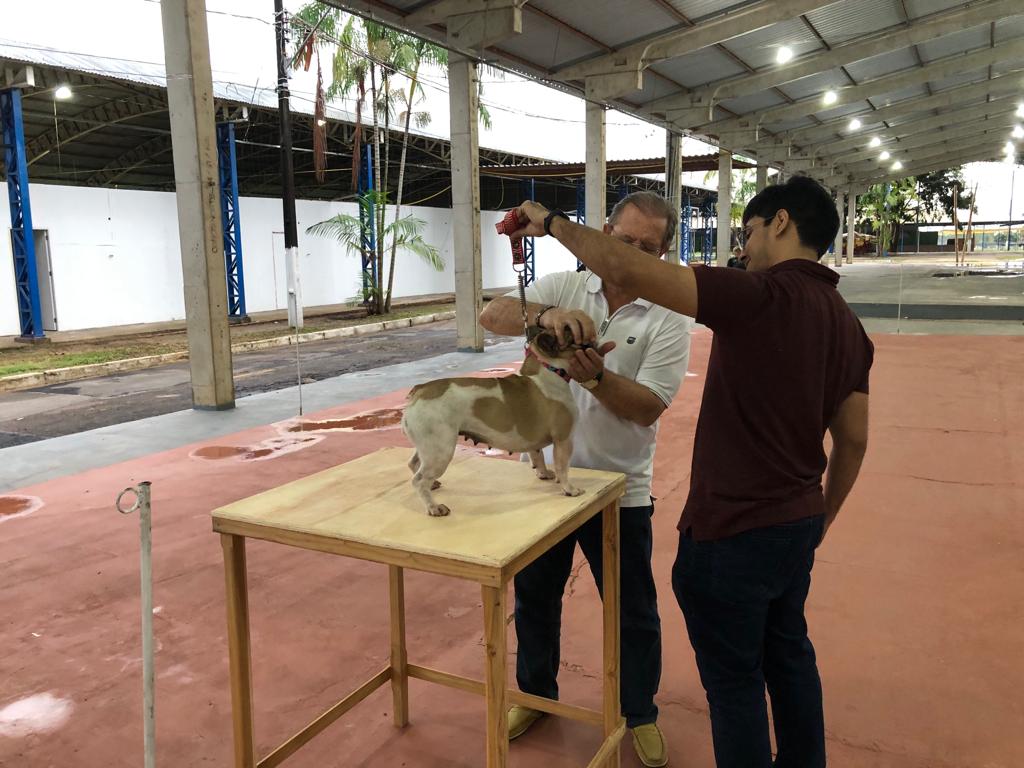 Exposição de Cães de Raça acontece neste sábado, no Parque de Exposições