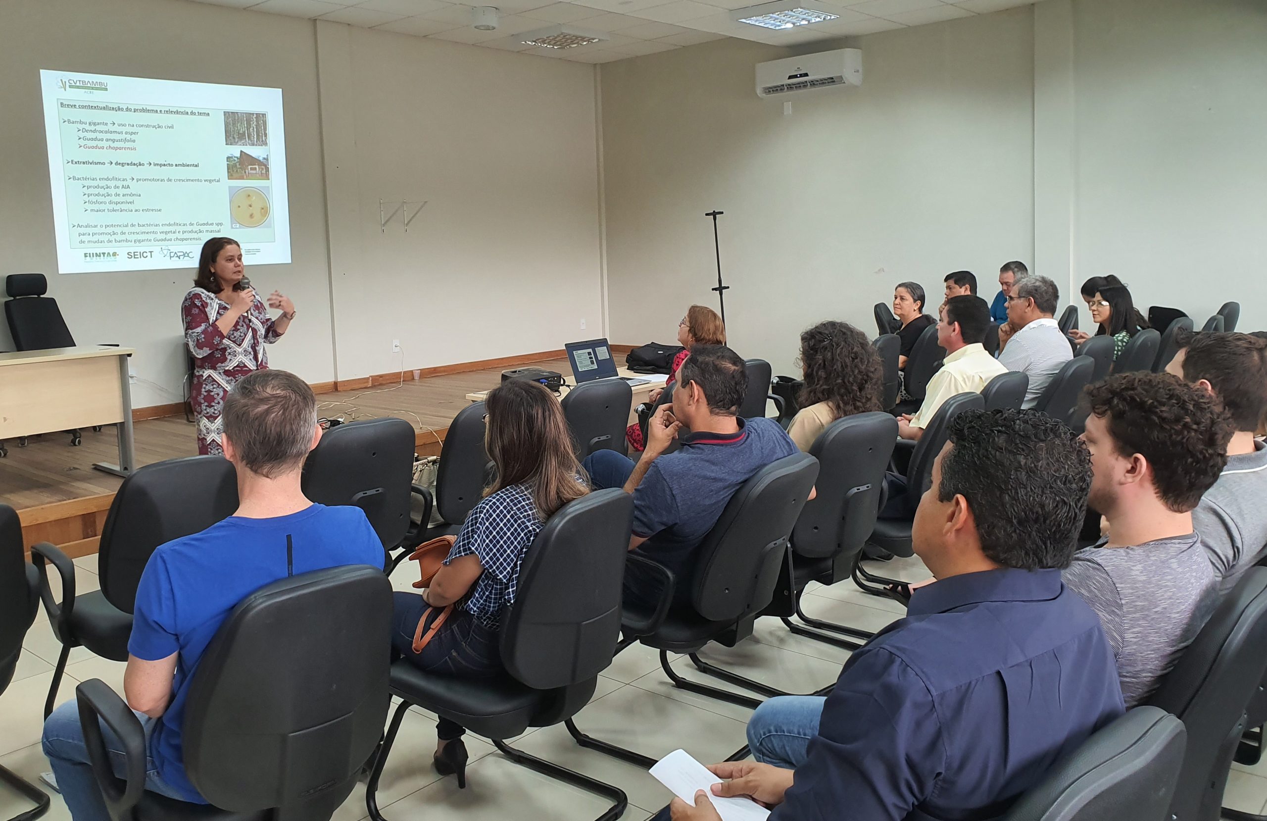 Com financiamento do Estado, projetos de pesquisa da cadeia do bambu são apresentados