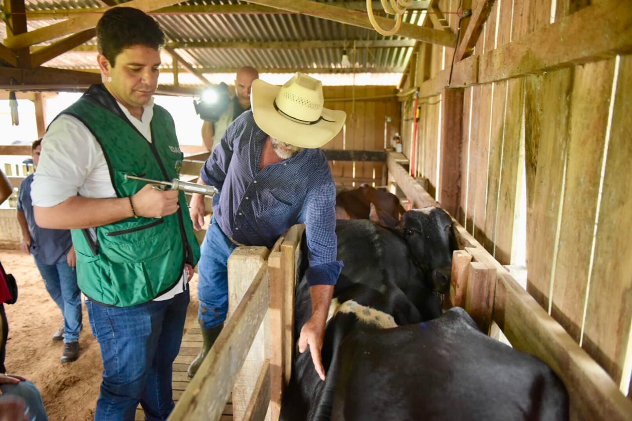 Governo lança campanha contra a aftosa e Acre fica mais próximo de se tornar zona livre e sem vacinação