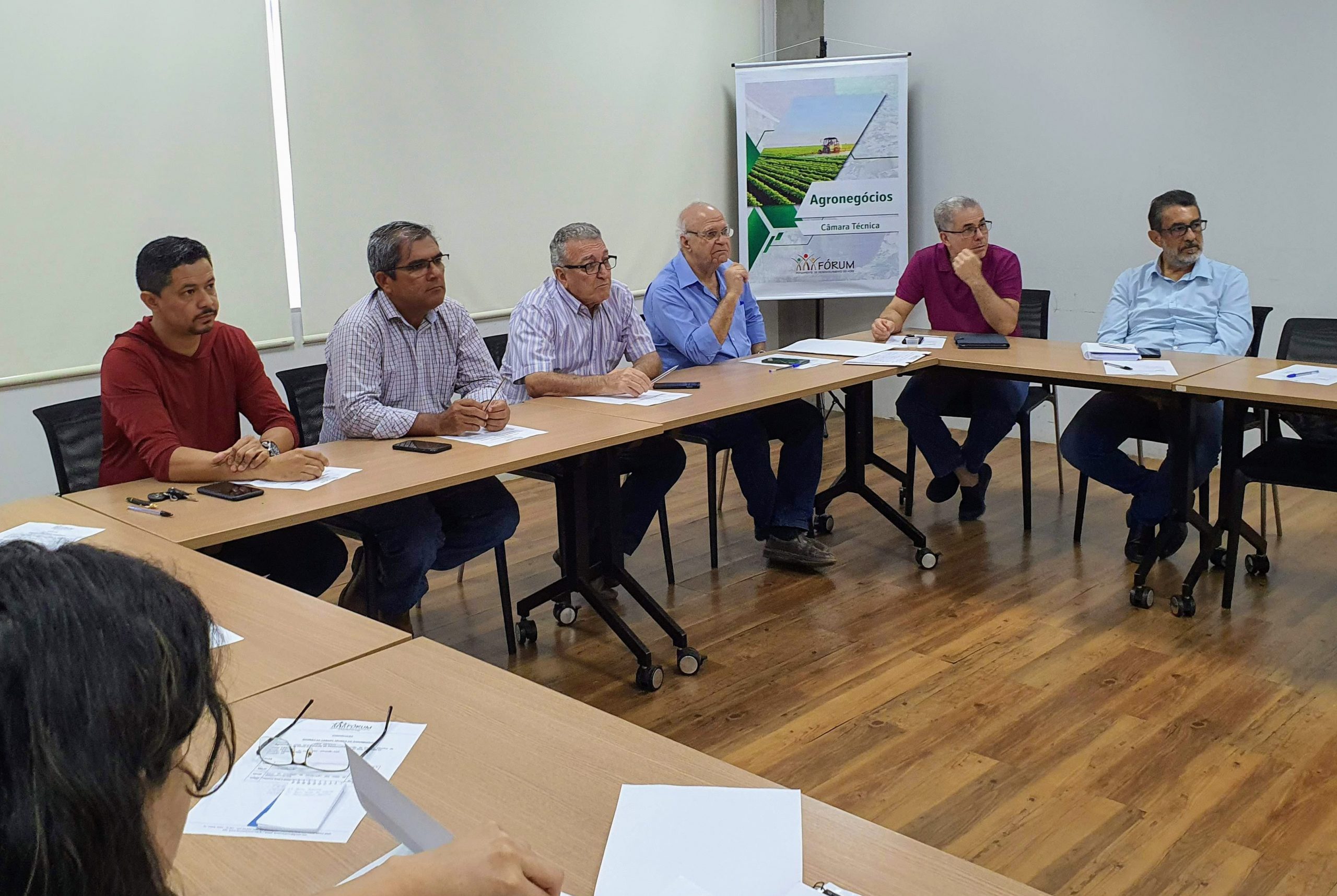 Câmara do Agronegócio avança com zona livre de aftosa sem vacinação e criação da Amacro