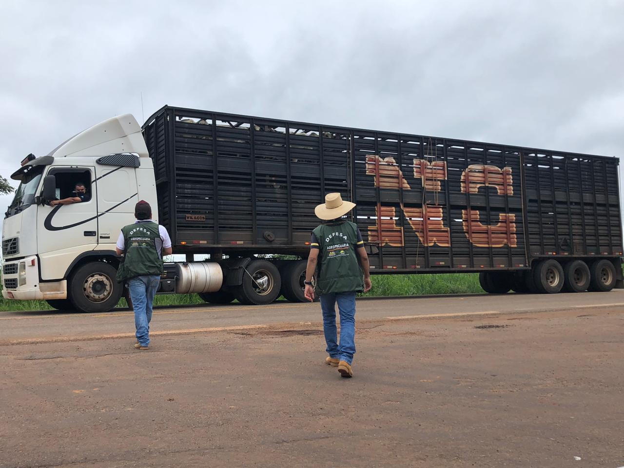 Idaf intensifica fiscalização de trânsito agropecuário nas rodovias acreanas