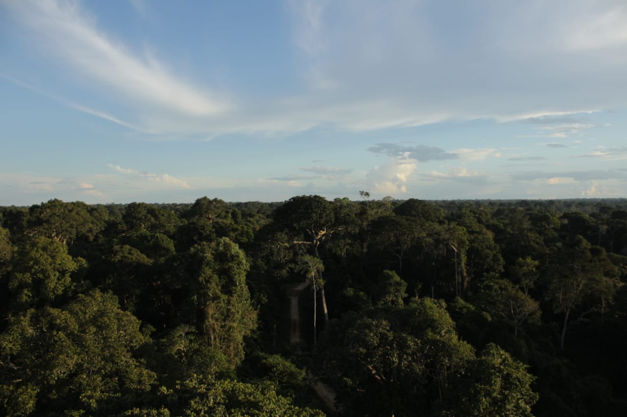 Governo realiza operação na Floresta Estadual do Antimary para combater invasões e desmatamento ilegal