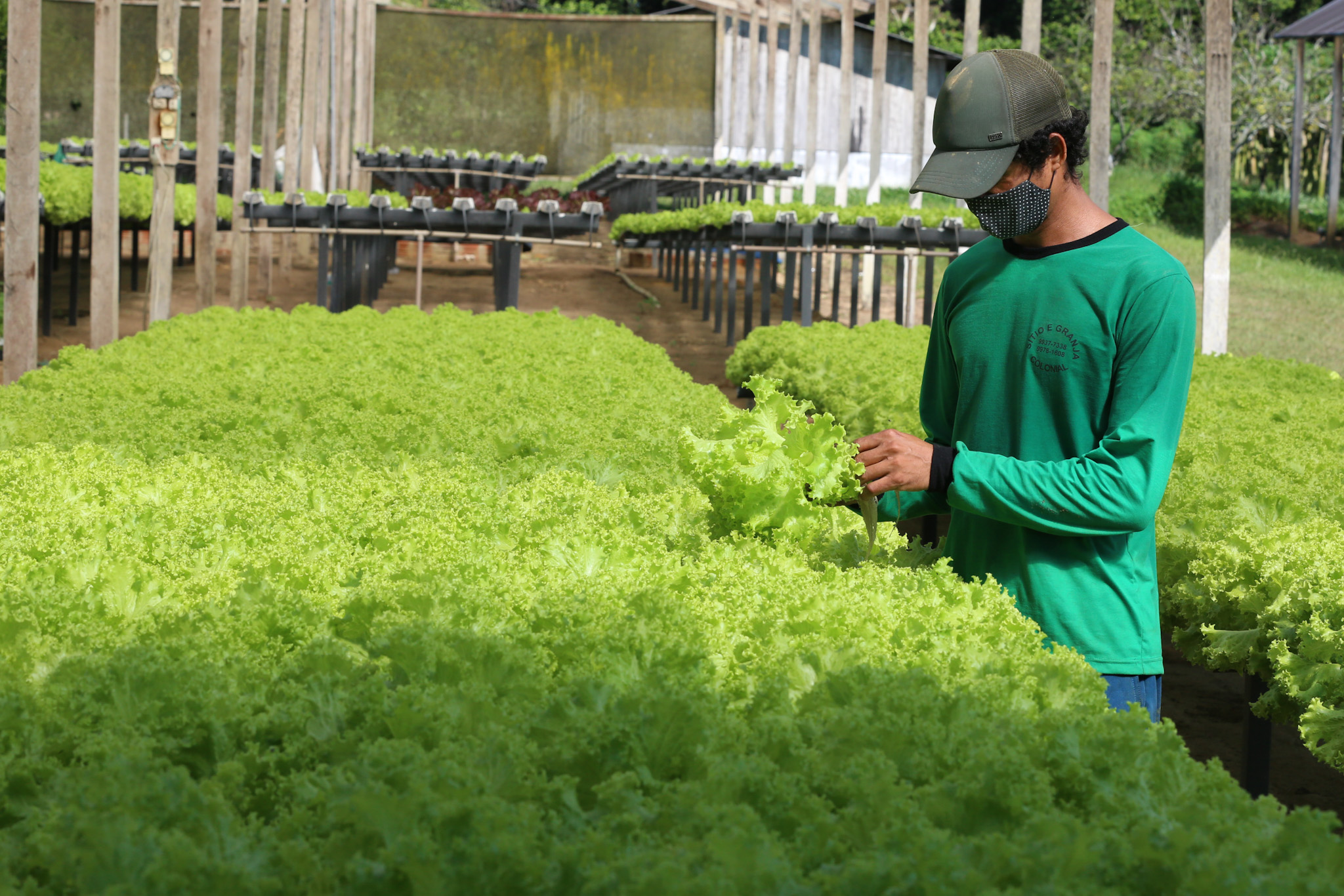 Governo lança programa de compra direta com R$ 7,5 milhões para produtores da agricultura familiar