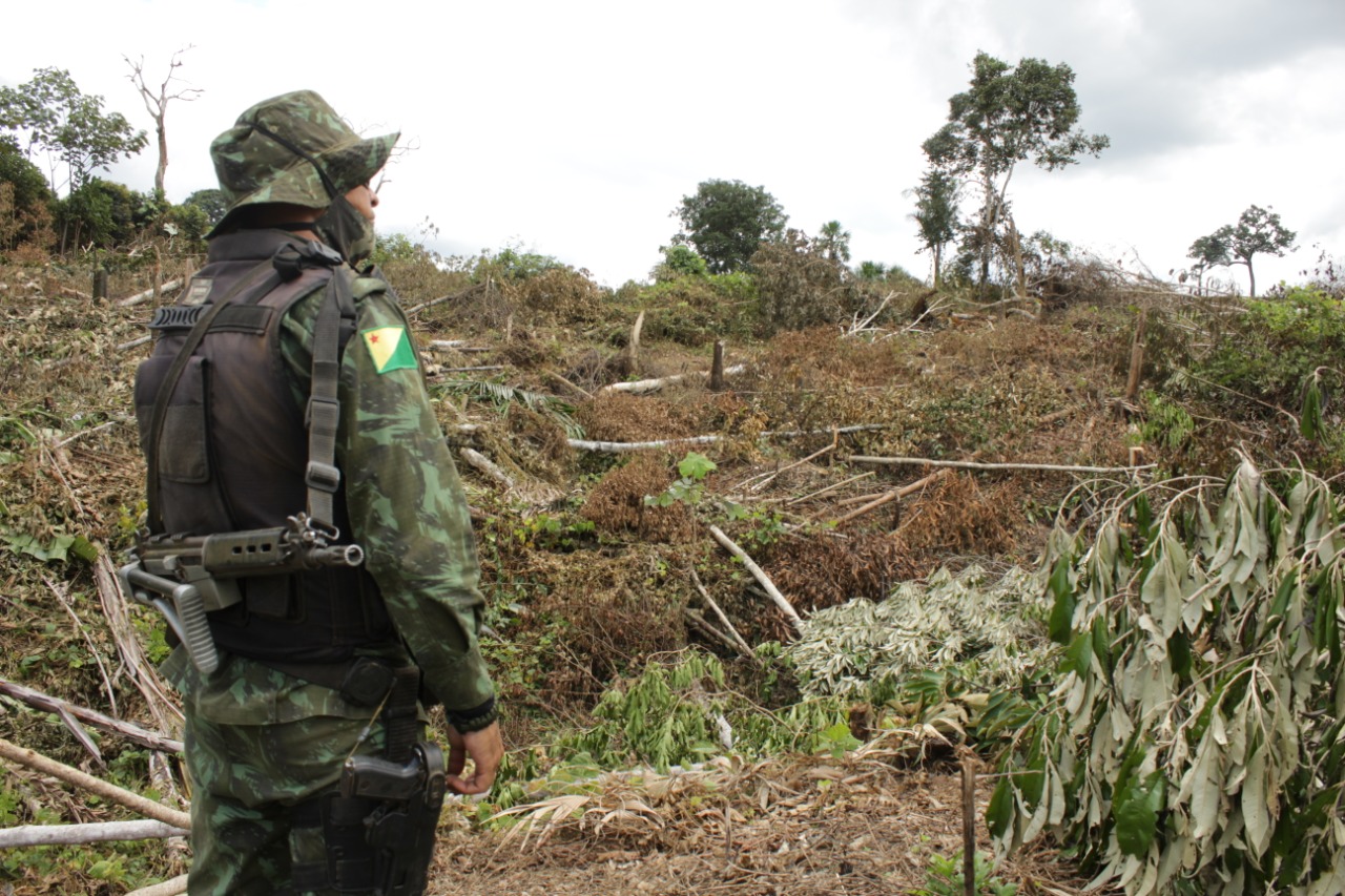 Redução do desmatamento no Acre mostra eficácia da política ambiental do governo