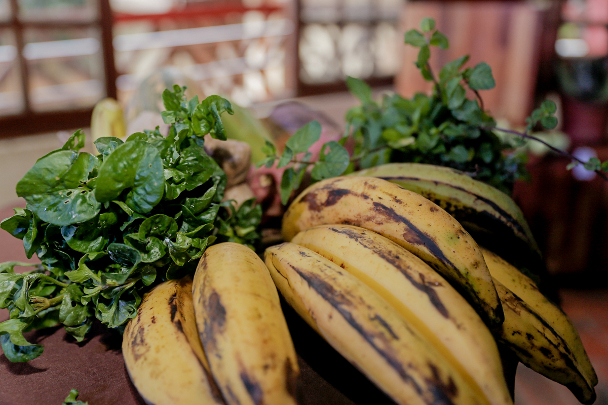 Casa de Embalagem de Bananas está próxima de ser inaugurada em Acrelândia