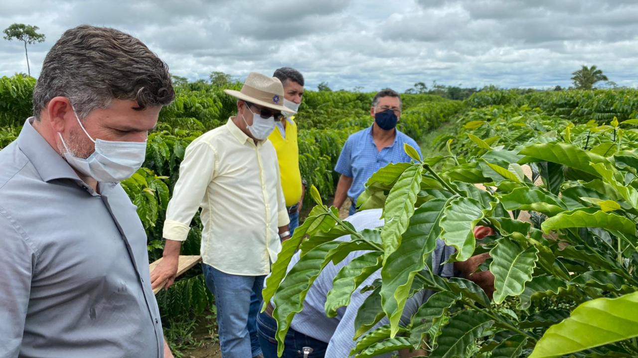 Governo realiza visita técnica em plantio de café com representantes de prefeituras