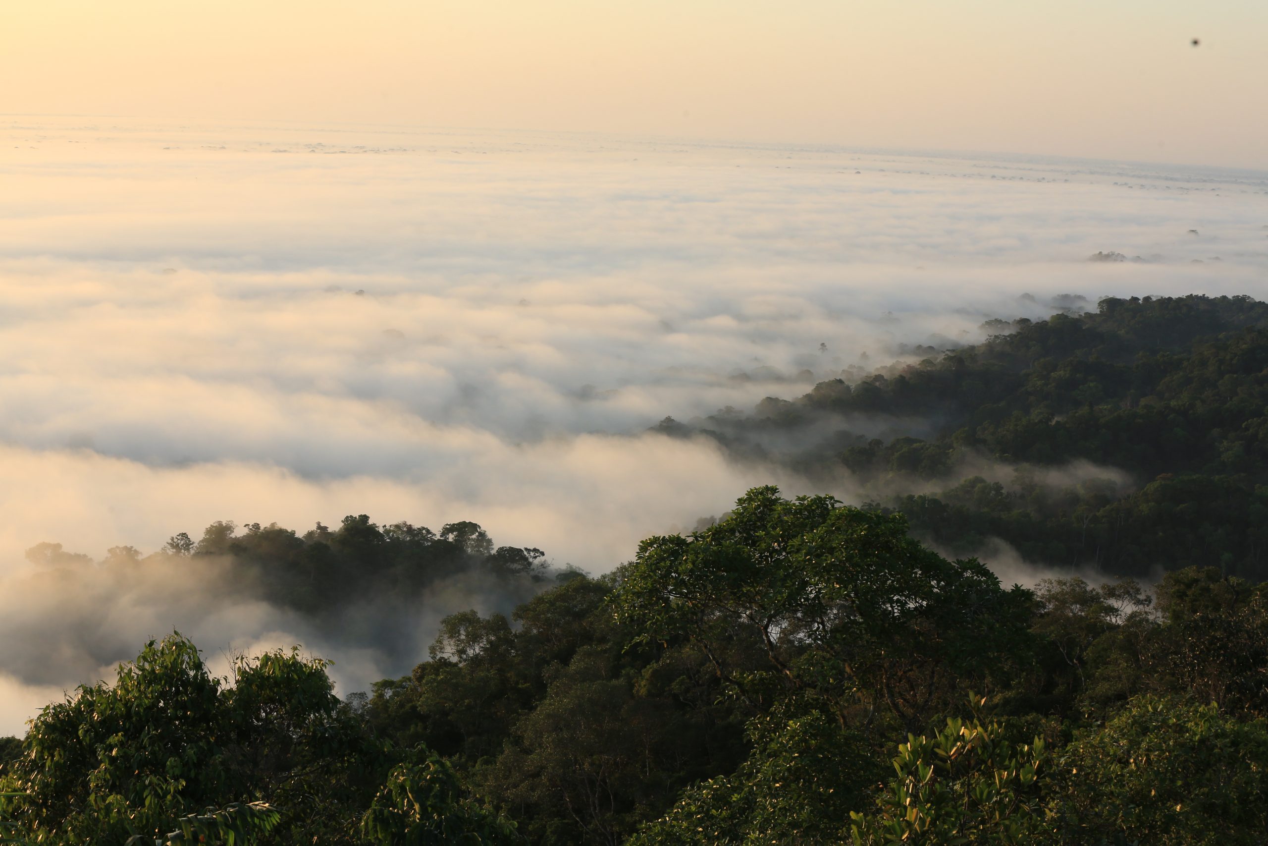 Encontro internacional de áreas naturais protegidas defende o fortalecimento da governança entre Brasil, Peru e Bolívia