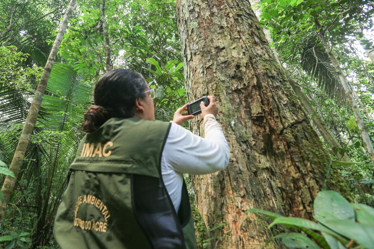 Governo realiza capacitação em geotecnologias para fiscalização ambiental