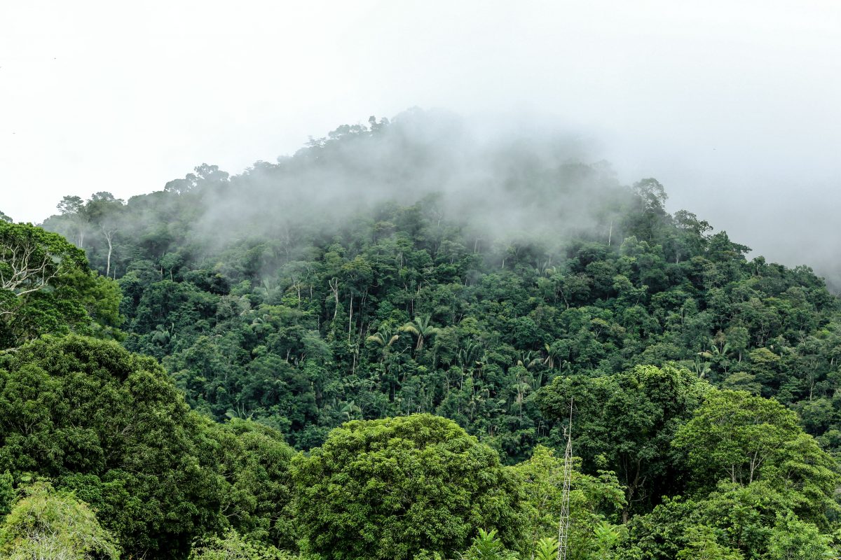 Acre ganha destaque na revista Duas Rodas com expedição que revela belezas da Serra do Divisor