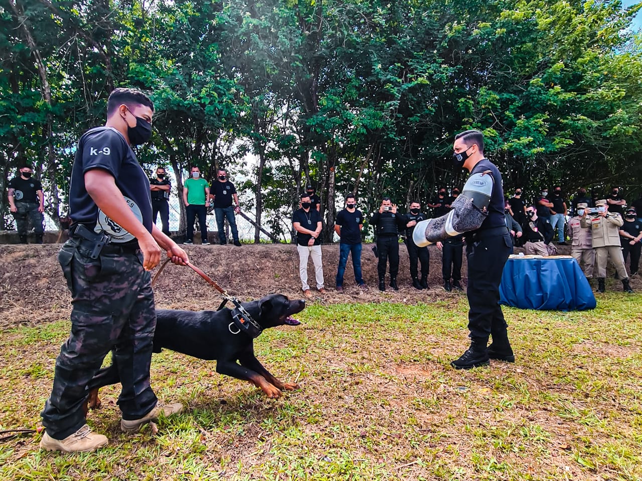 Iapen comemora 7º aniversário do Centro de Treinamento de Cães Penitenciários