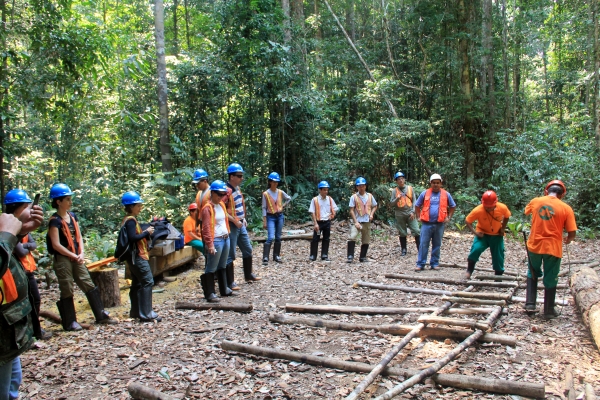 Educação Profissional abre quase 700 vagas em cursos na área de produção florestal e manejo sustentável em todo o estado