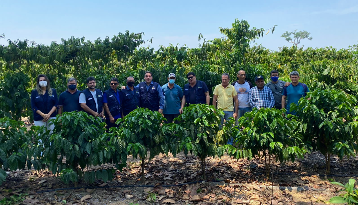 Sepa participa de visita técnica em áreas de plantio de café, em Acrelândia