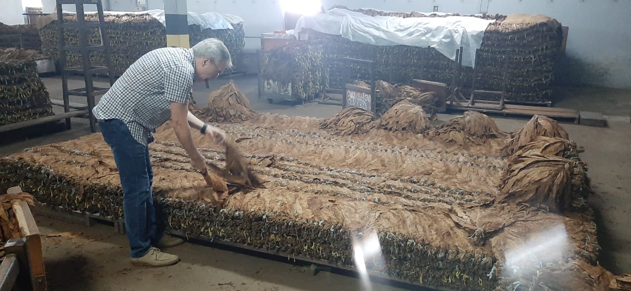 Charuto com tabaco do Acre é atração em festival do setor na Bahia