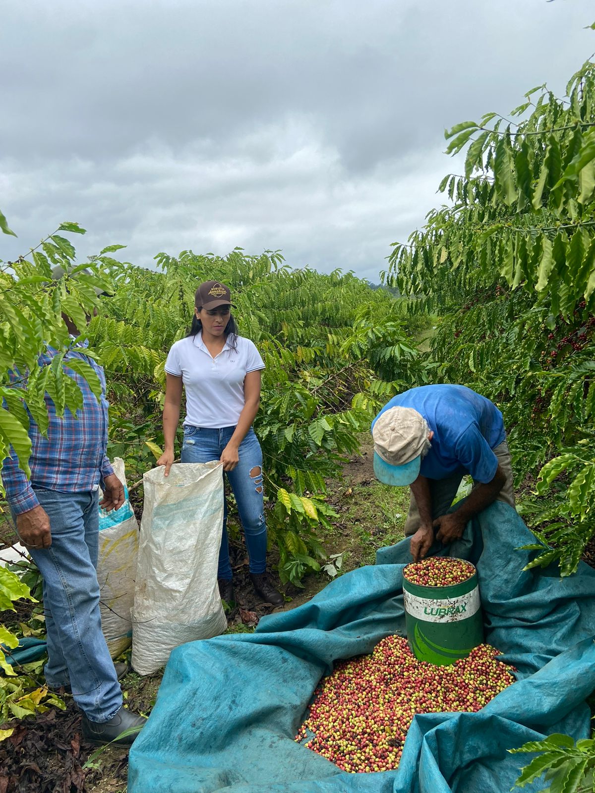 Servidores do Estado promovem melhorias e novas tecnologias para a agricultura familiar do Acre