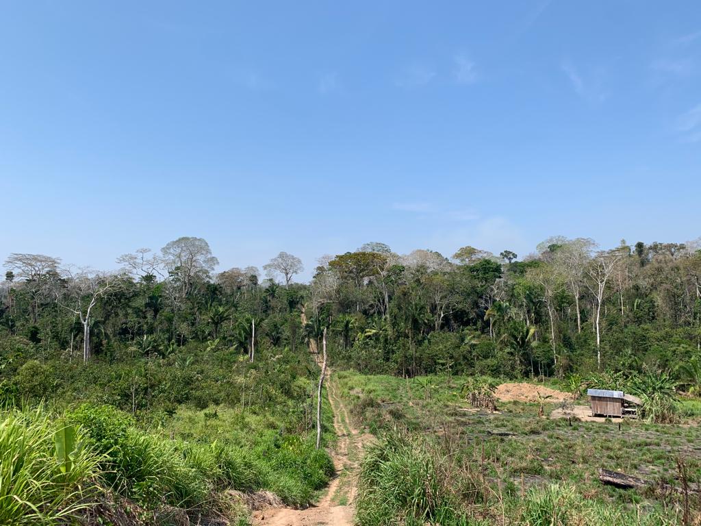 Comissão da câmara federal aprova doação de terras da União para o Acre