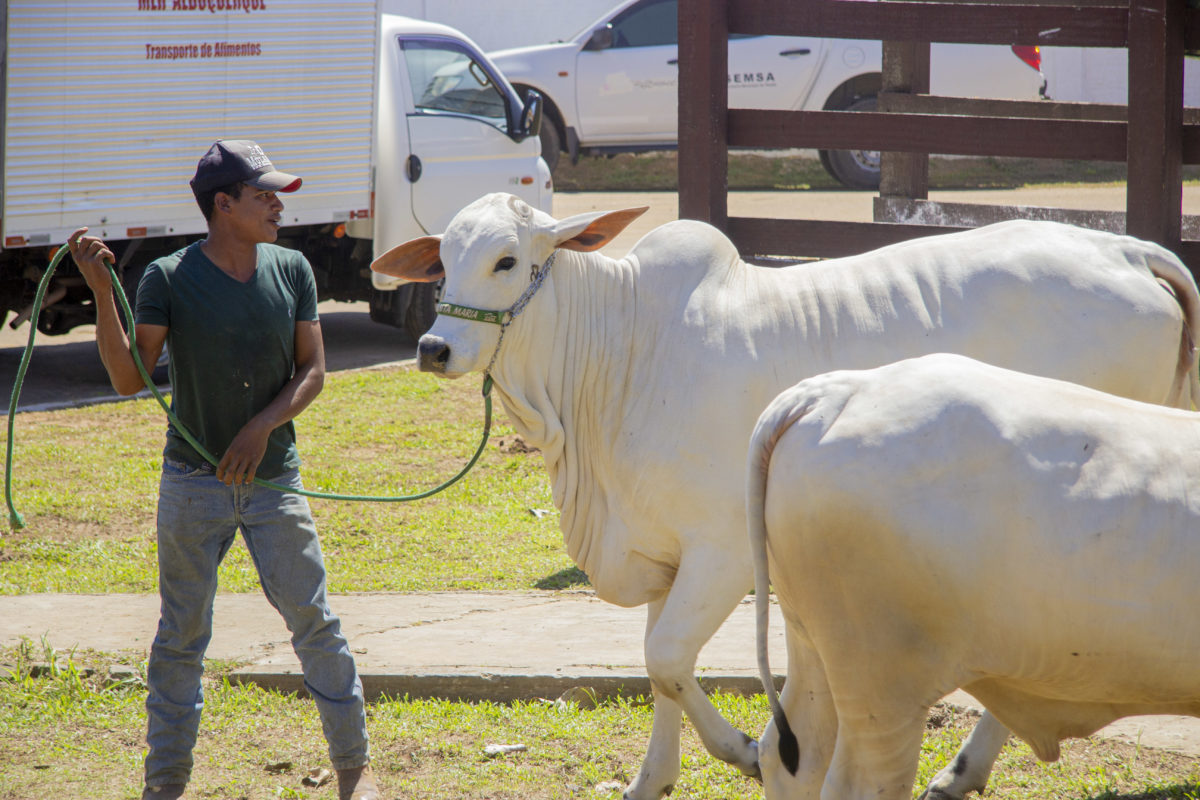 Instituto de Defesa Agropecuária e Florestal apresenta resultados positivos que expandem o agronegócio no Acre