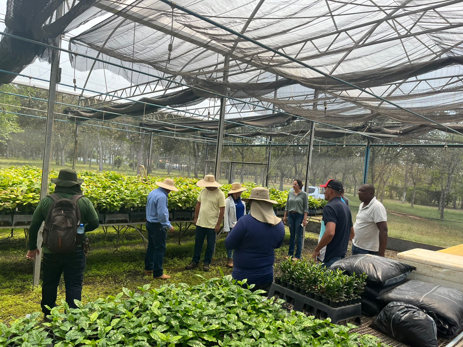 Servidores da Emater e da Sepa participam de excursão técnica da cadeia produtiva do café