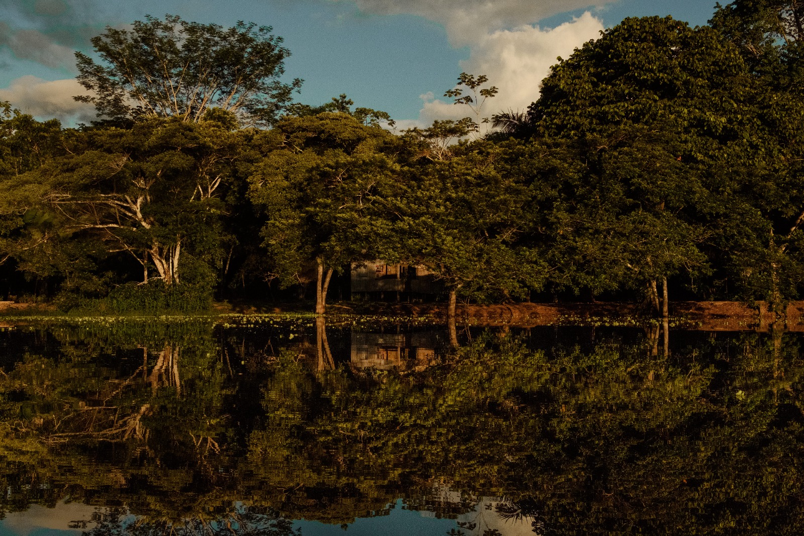 Conselho de Meio Ambiente e Floresta realiza 1ª Reunião Extraordinária de 2023