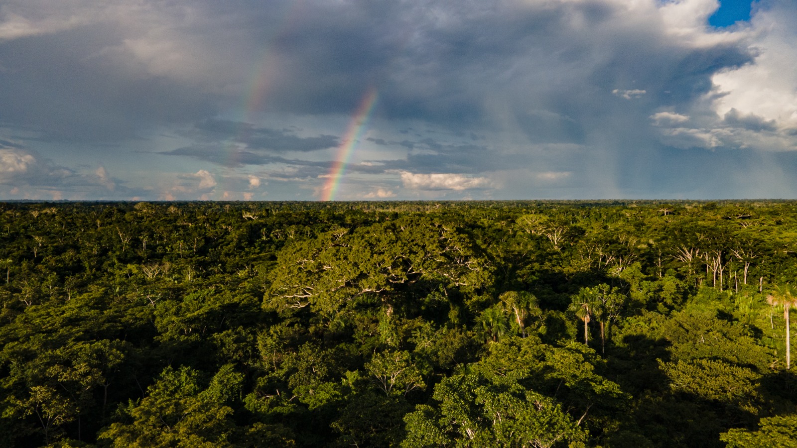 Alertas de desmatamento no Acre reduzem 38% nos primeiros três meses do ano