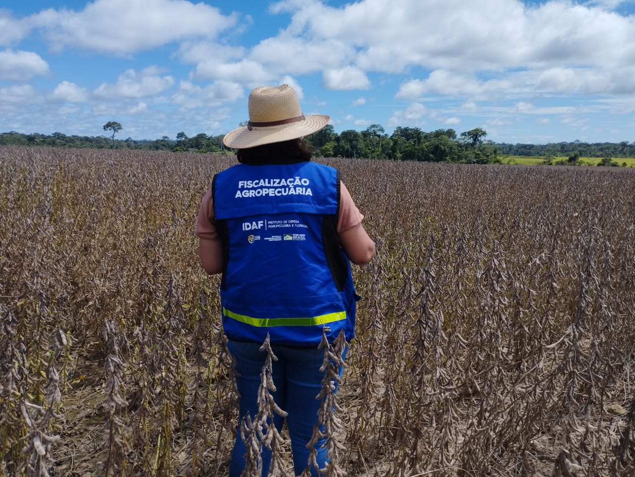 No Dia Internacional da Sanidade Vegetal, Idaf destaca programas e ações de governo