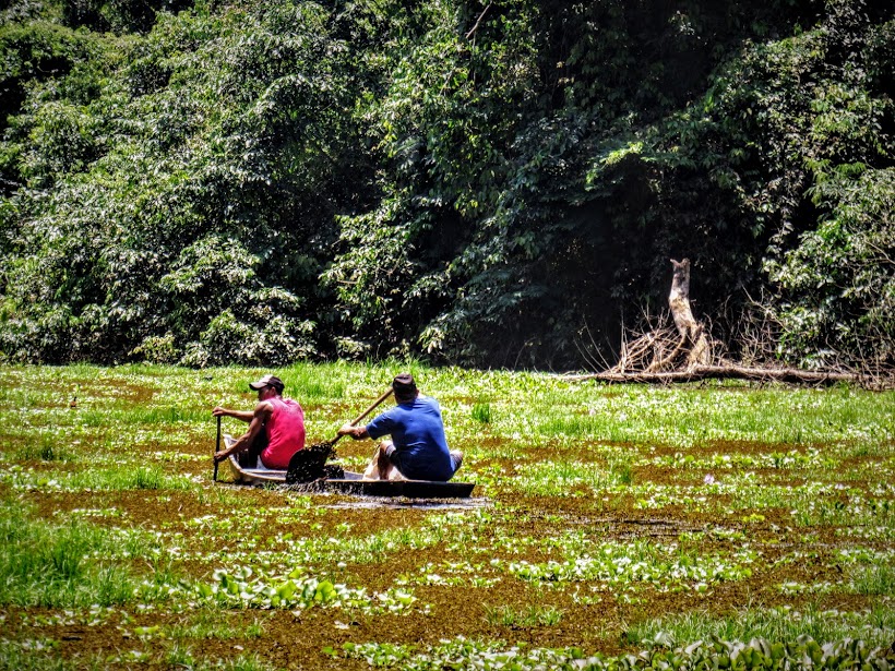 Governo divulga programação em alusão ao Dia Mundial do Meio Ambiente