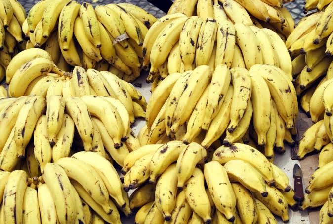 Governo apoiará realização do 7º Festival da Banana em Rodrigues Alves