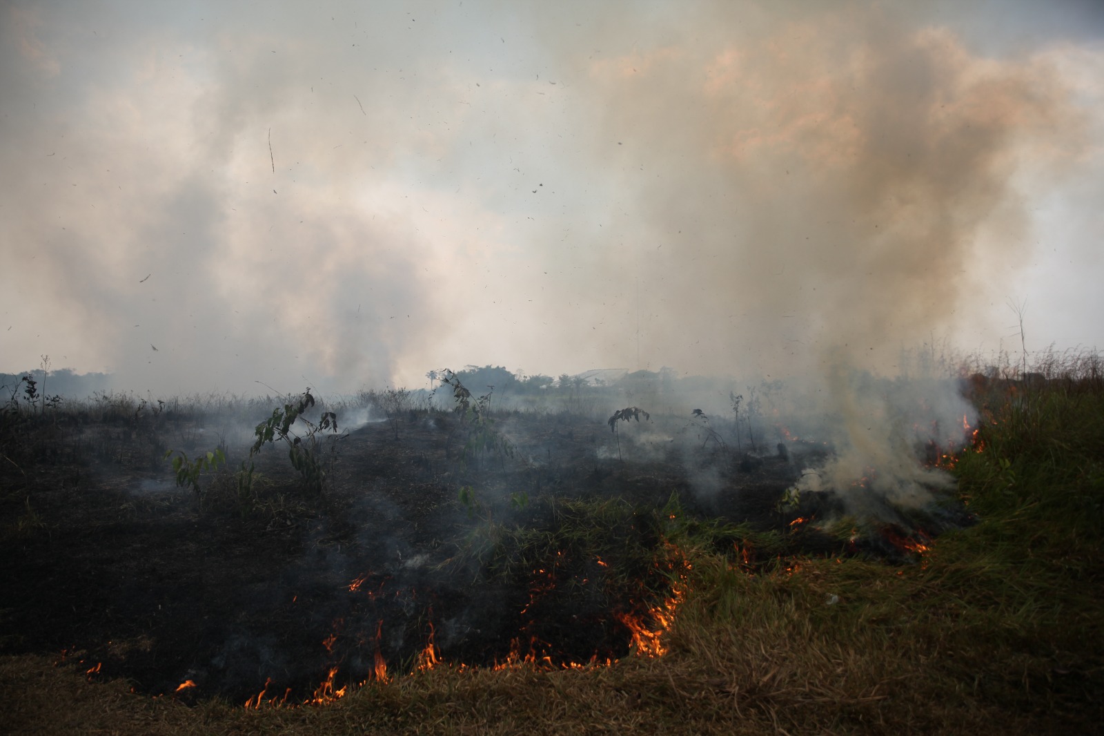 Fumaça das queimadas causa preocupação com doenças respiratórias, alerta Saúde do Acre