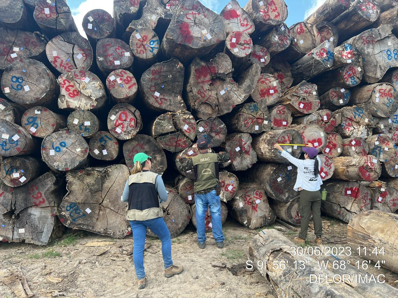 Governo promove diálogo regional para o fortalecimento do setor florestal madeireiro na Amazônia 