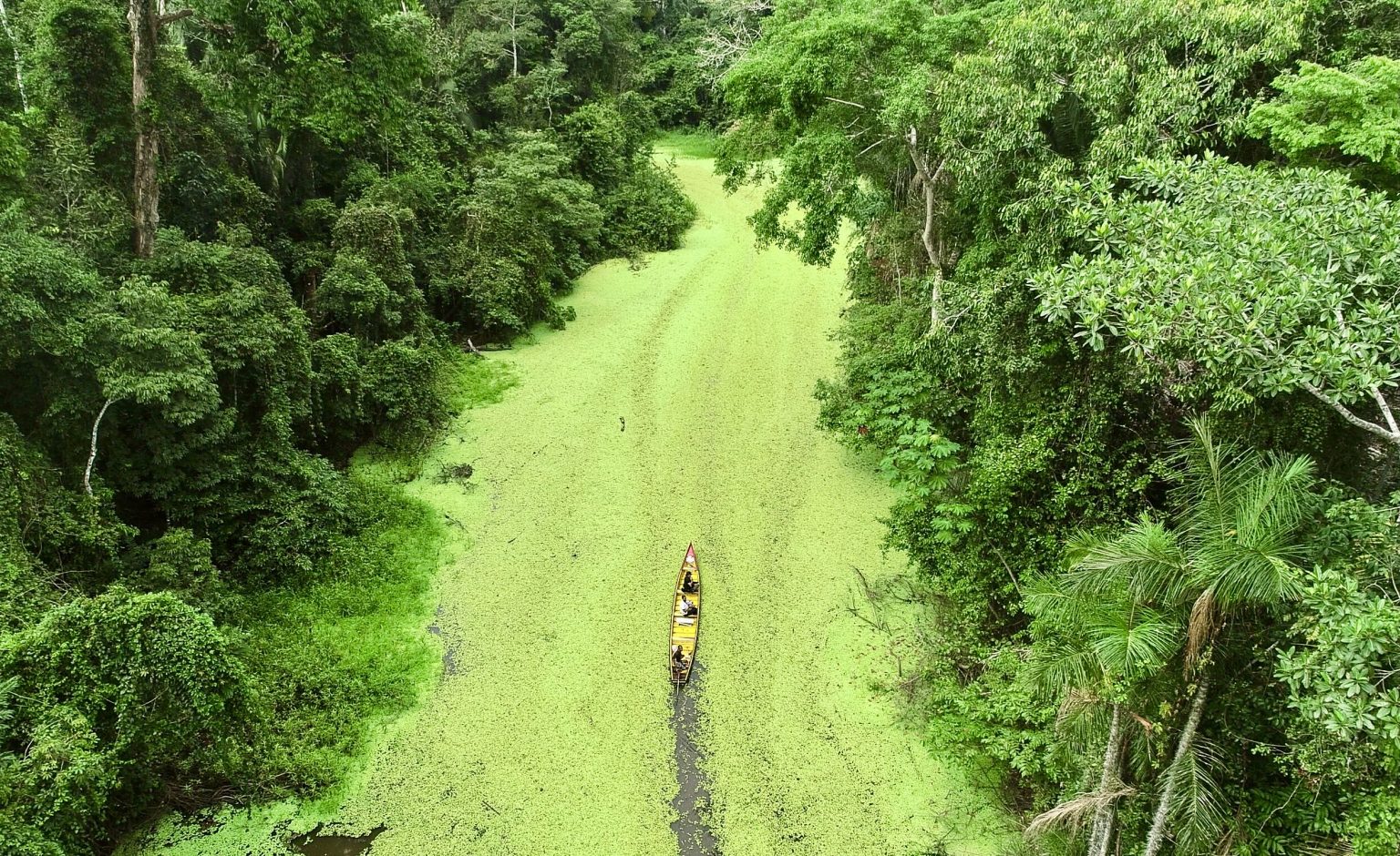 Estado assinará acordo de cooperação técnica com Iniciativa Amazônia+10 e CNPq para apoiar expedições científicas