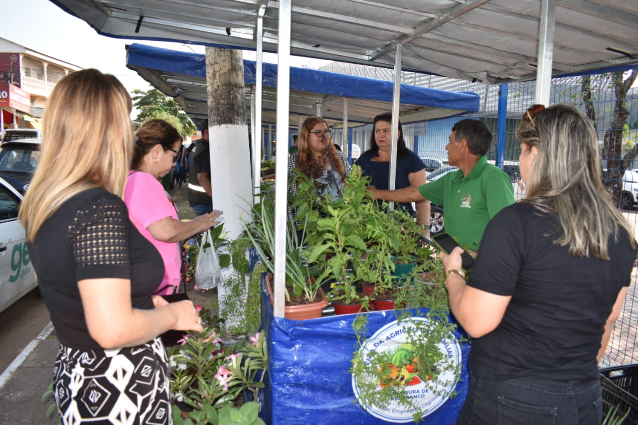 Bons êxitos em vendas indica sucesso na Feira do Agricultor Familiar