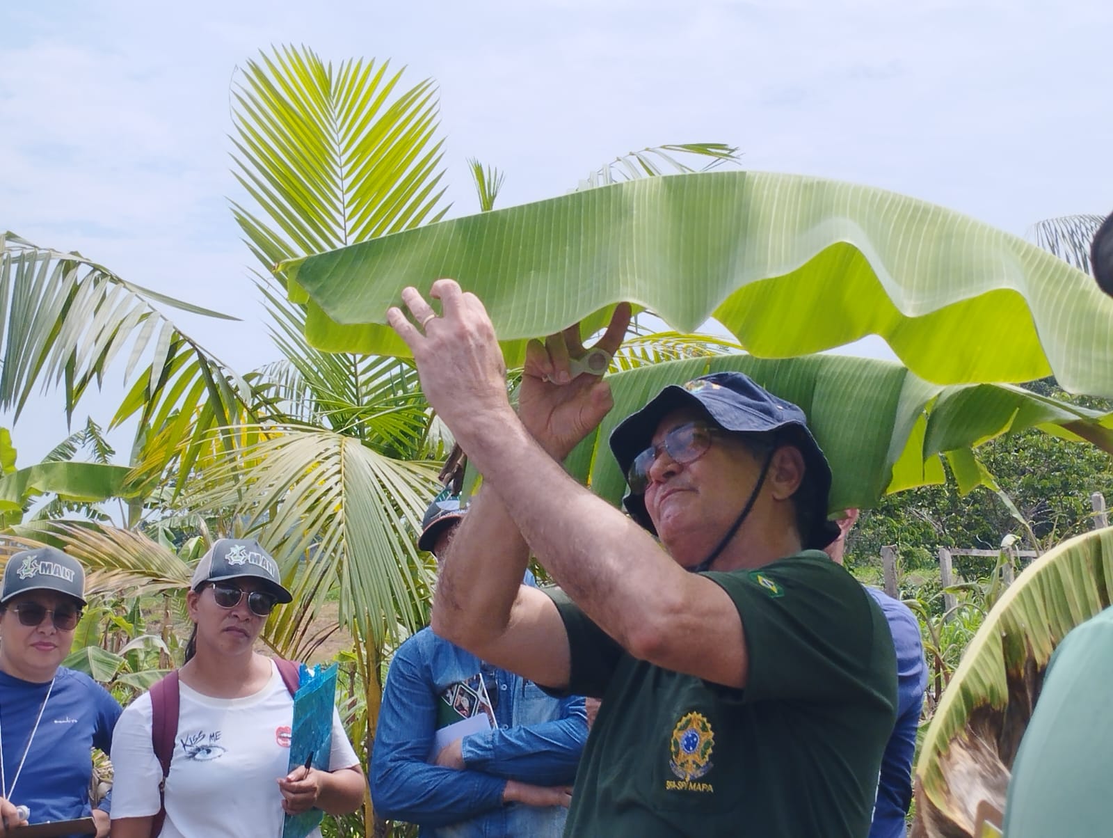 Instituto de Defesa Agropecuária e Florestal do Acre promove certificação no controle de pragas na cultura da banana