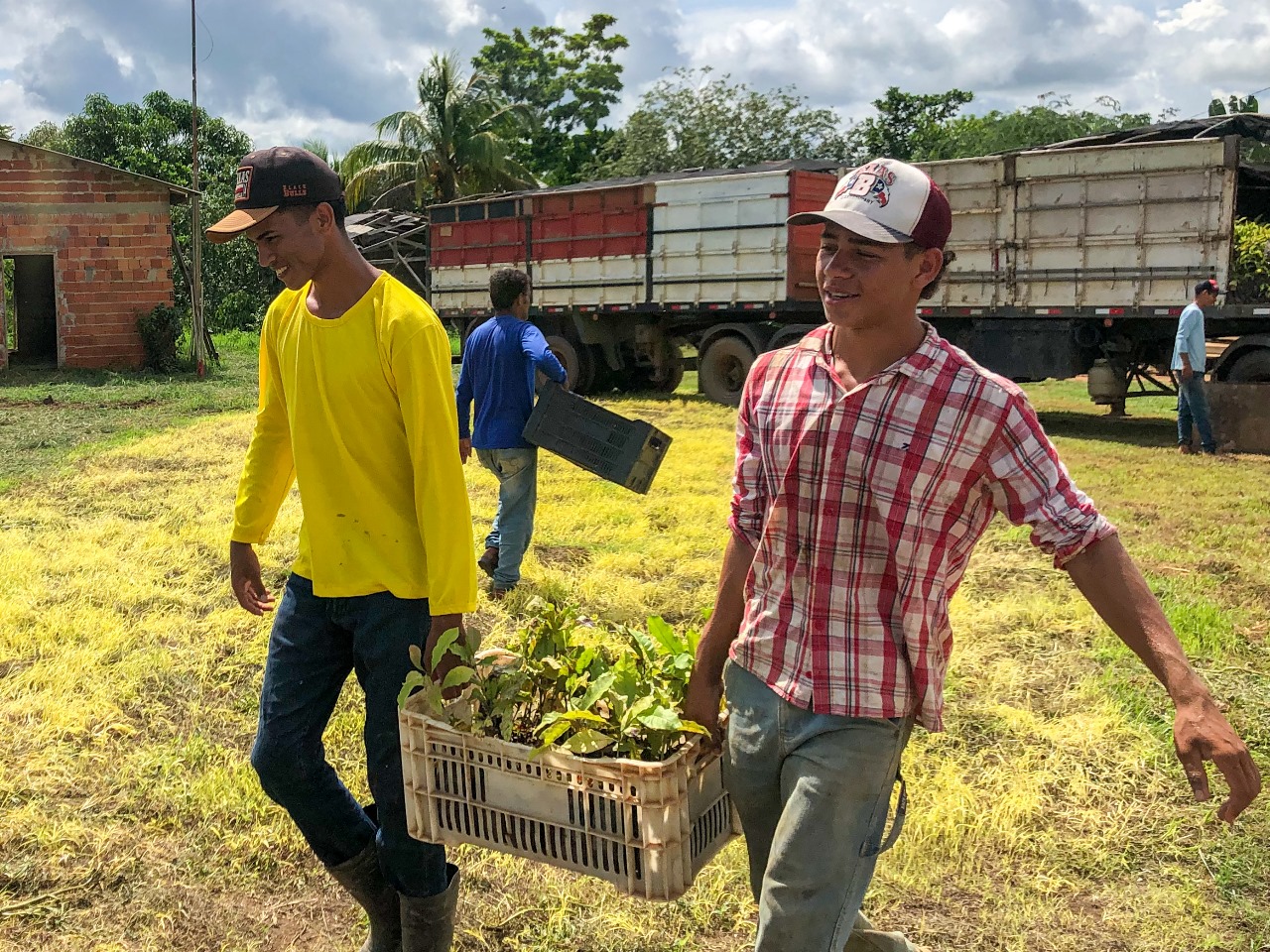 Governo entrega mudas de café clonal para produtores de Porto Acre