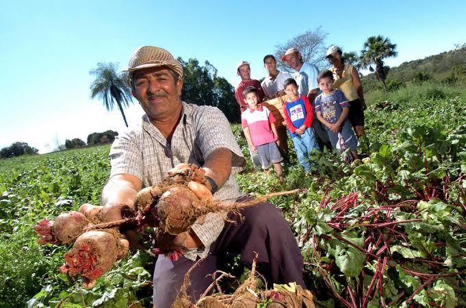 Sefaz simplifica procedimento de cadastro do produtor rural