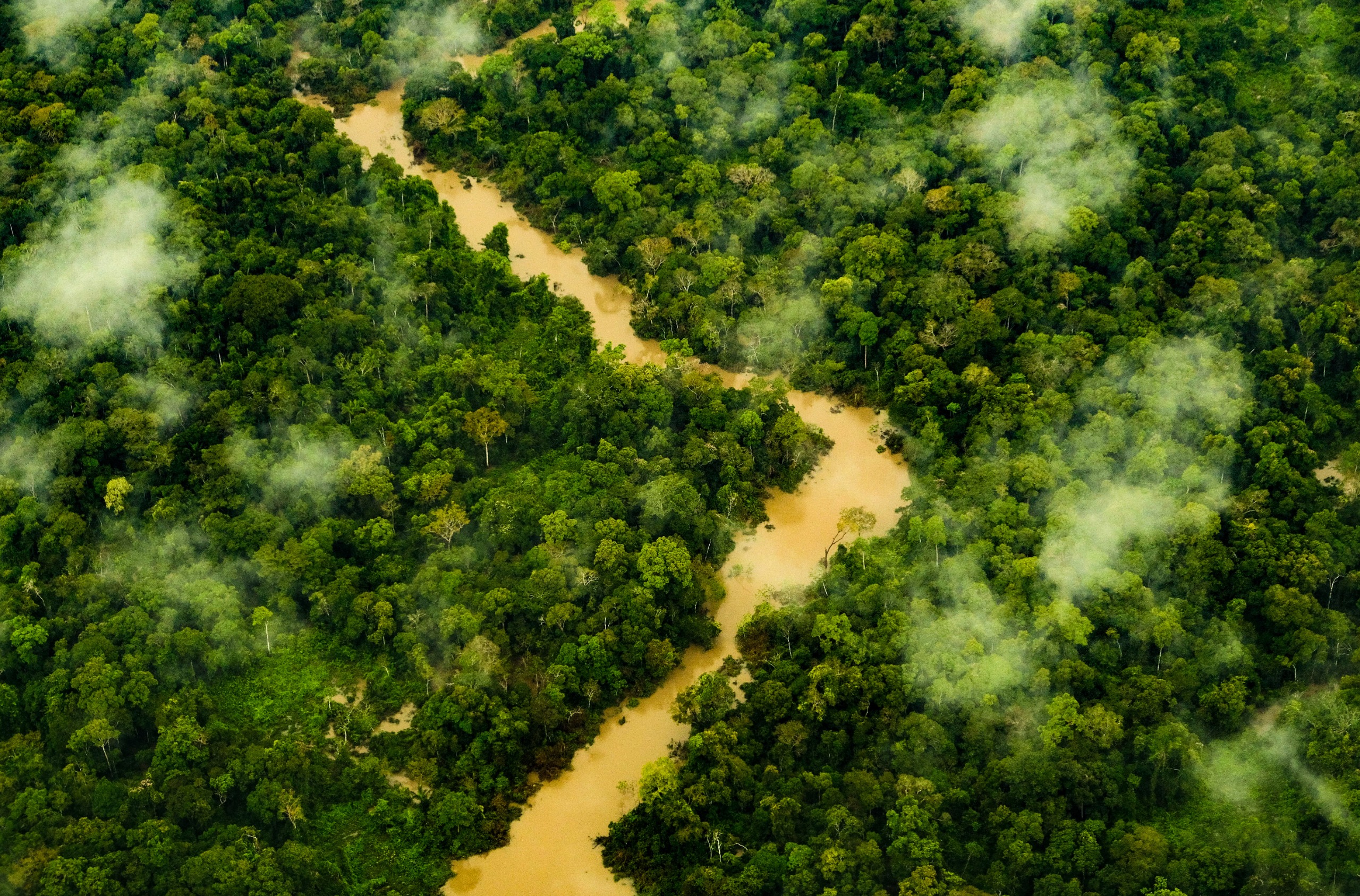 Acre é o estado da Amazônia Legal com menos alertas de desmatamento na 1ª quinzena de dezembro