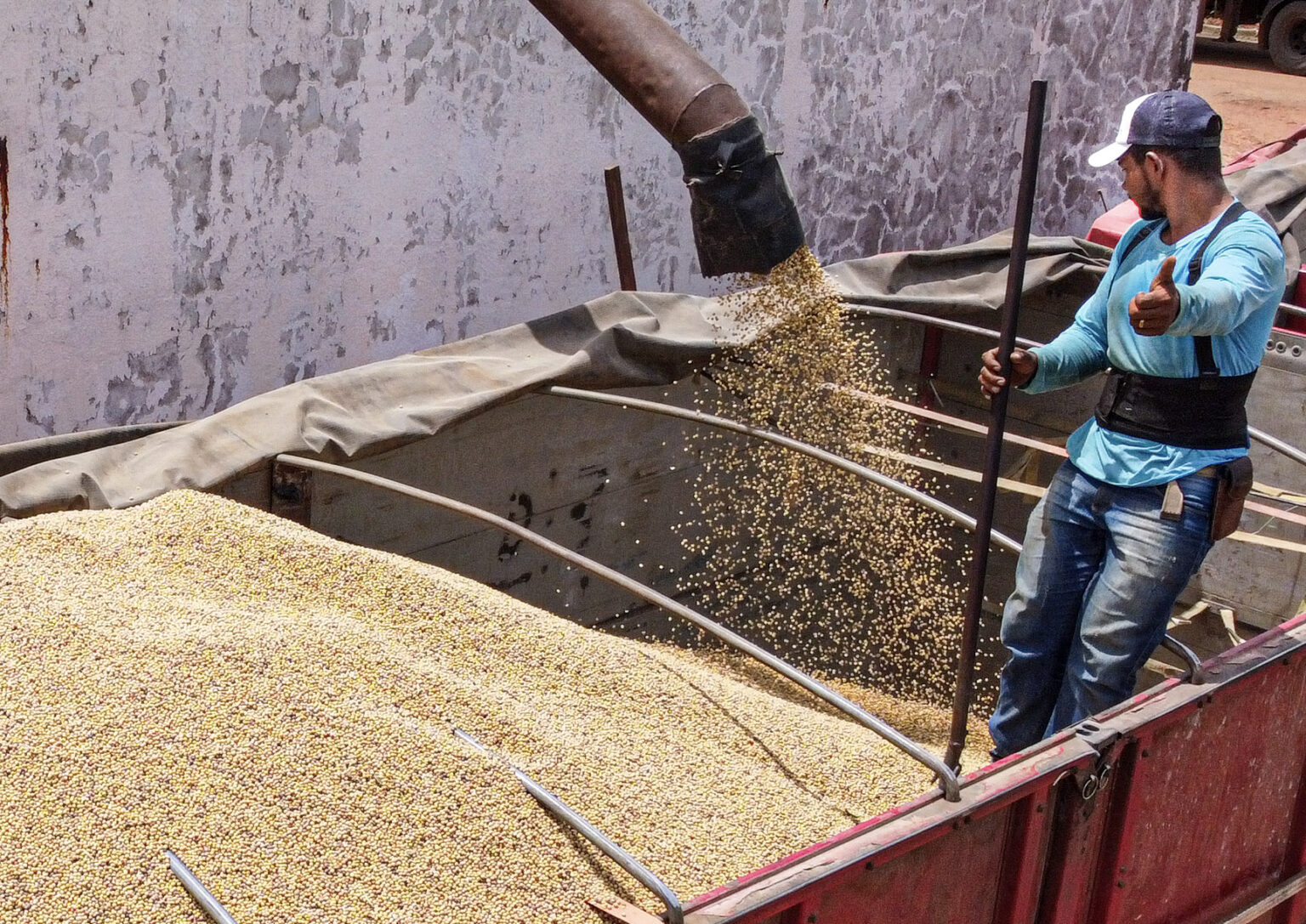 Recordes de produção de soja e milho revelam potencial agrícola do Acre